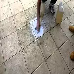 limpa caixa de água Limpeza de Carpete em Antônio Carlos