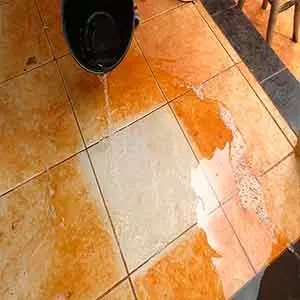 produtos pós obra em Limpeza de Carpete em Antônio Carlos